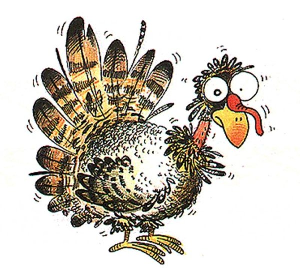 Индюшка карикатура