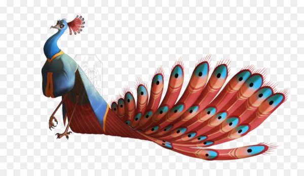 Птица Павлин Шень