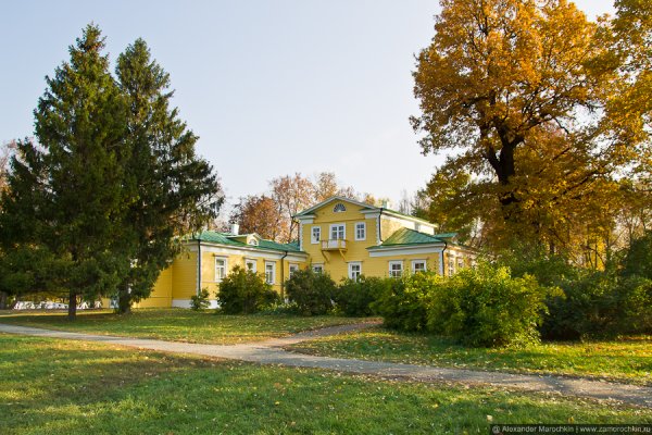 Большое Болдино Пушкин усадьба