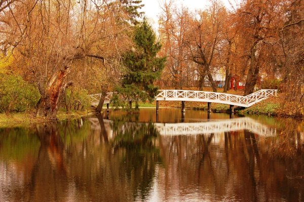 Усадебный парк Болдино