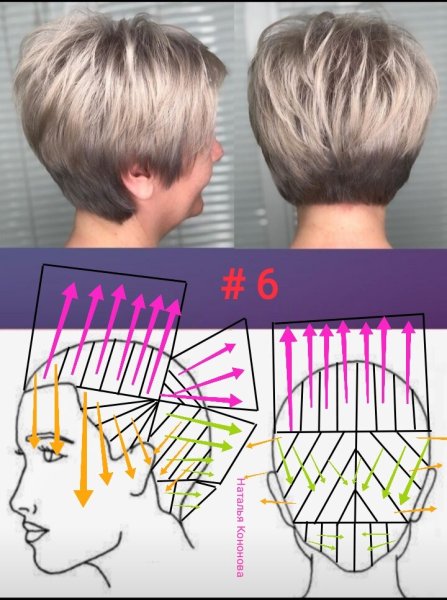 Пикси Боб сзади