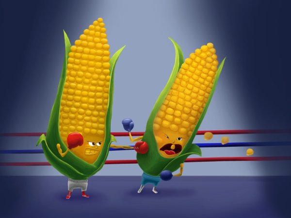 Кукуруза прикол