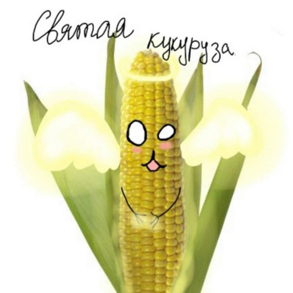 Кукуруза прикол
