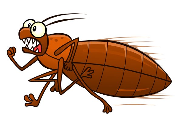 Таракан рисунок для детей