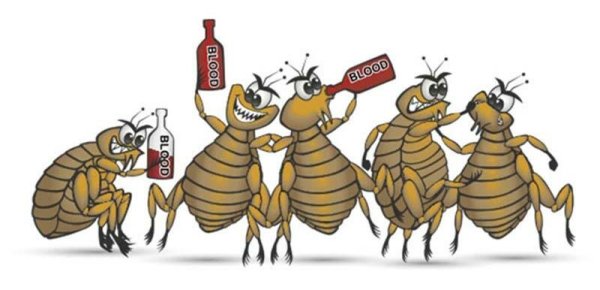 Блоха прикольная