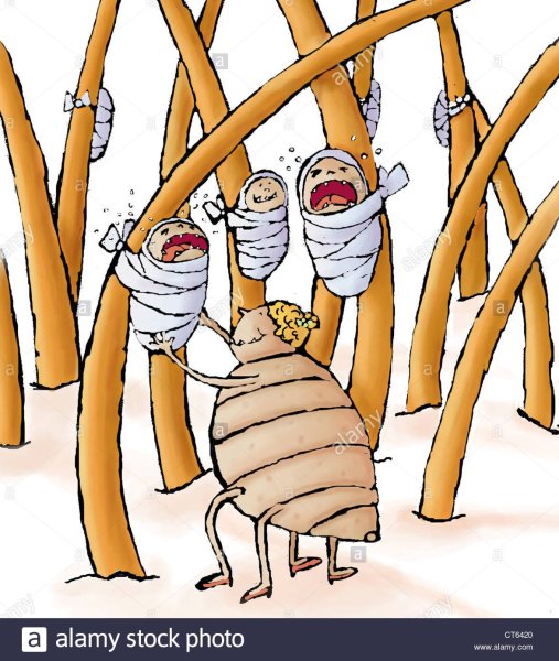 Вши мультяшные