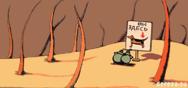 Шутки про блох