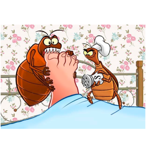 Клоп смешной