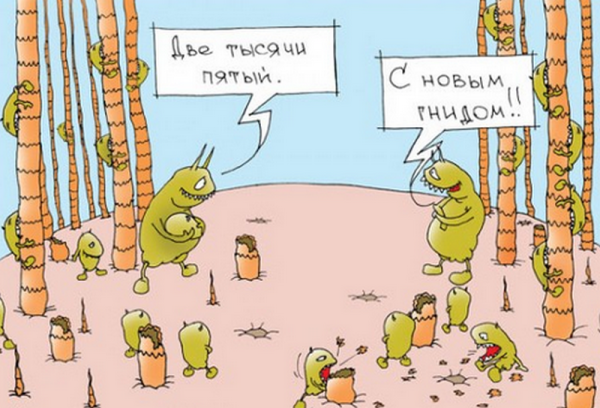 Шутки про блох