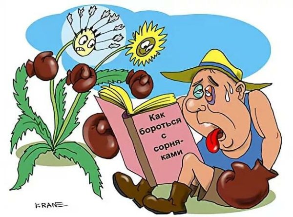 Карикатуры про дачу и дачников