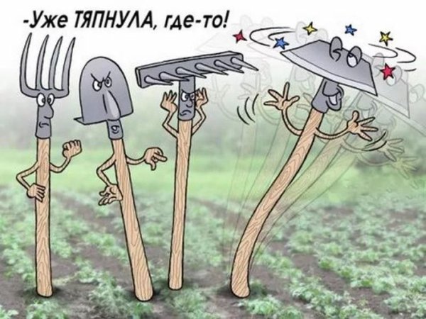 Смешные дачники