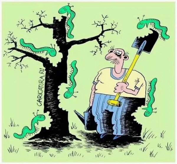 Садовод карикатура