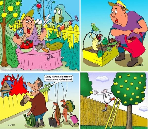 Смешные картинки про дачу