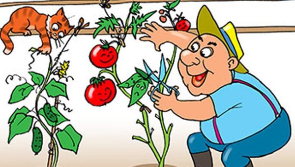 Огород карикатура