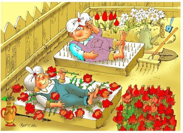 Смешные грядки