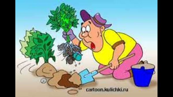 Карикатуры про дачников и огородников