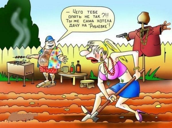 Анекдоты про дачу в картинках