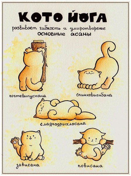 Юмор про йогу в картинках