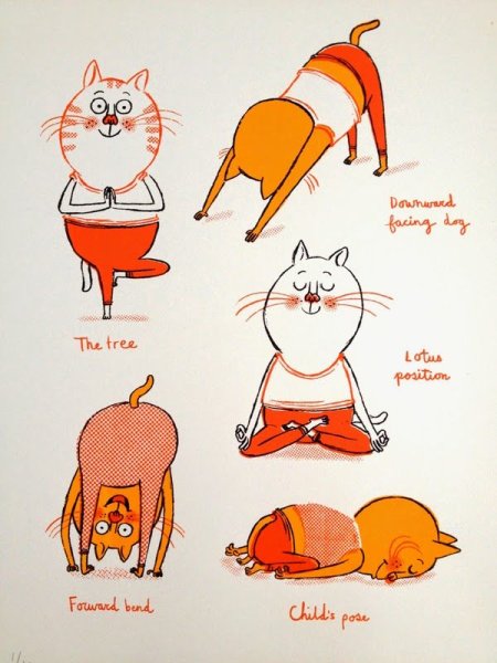 Кошка и йога иллюстрация