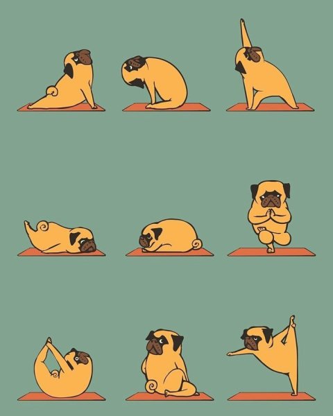 Смешные упражнения