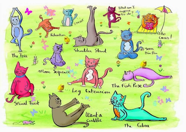 День йоги поздравления