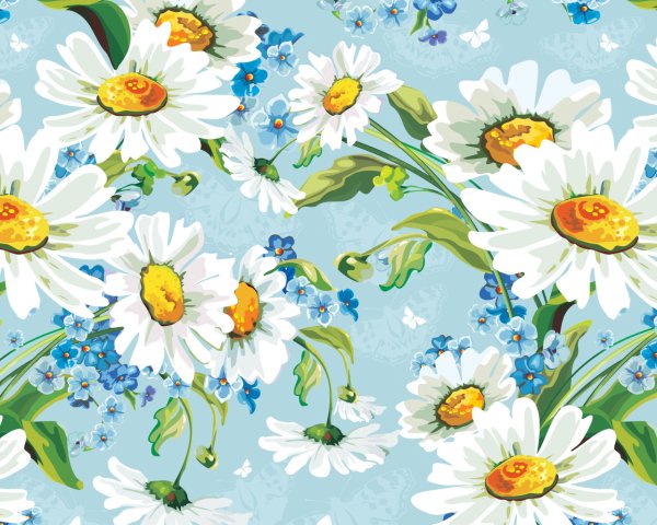 Фон ромашки