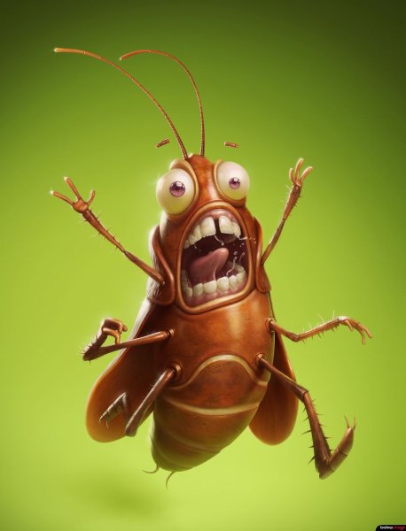 Бешеный таракан