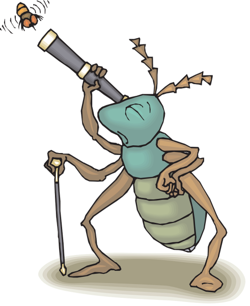 Насекомые карикатура