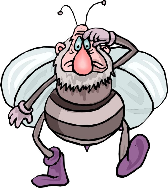 Жук Анимашка