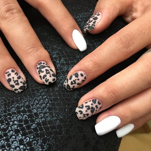 Леопардовые ноготки 2022