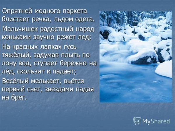 Стих Александра Сергеевича Пушкина опрятней модного паркета
