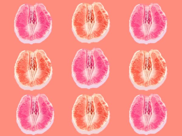 Разновидности женских клиторов