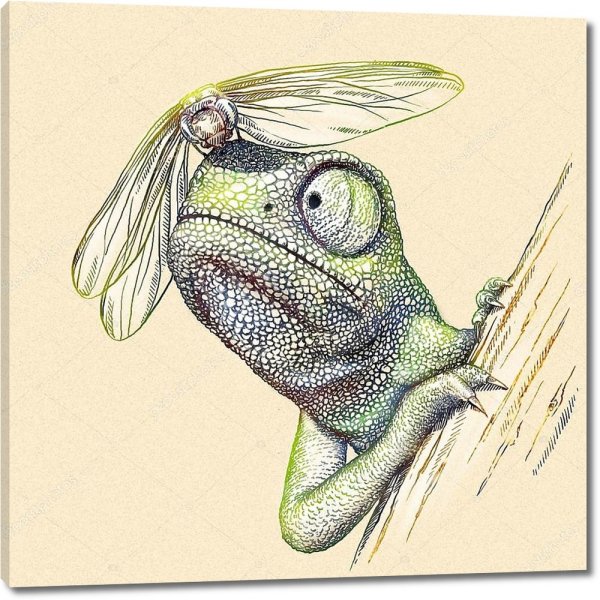 Хамелеон и Стрекоза