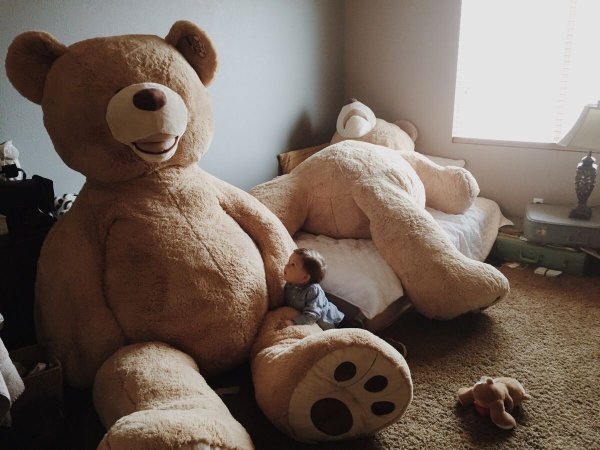 Смешной плюшевый мишка