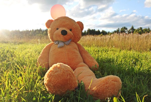 Огромный плюшевый мишка