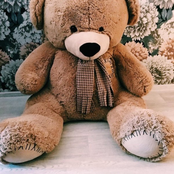 Большой мишка