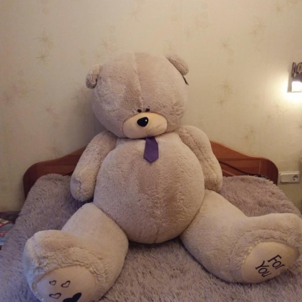 Огромный плюшевый мишка