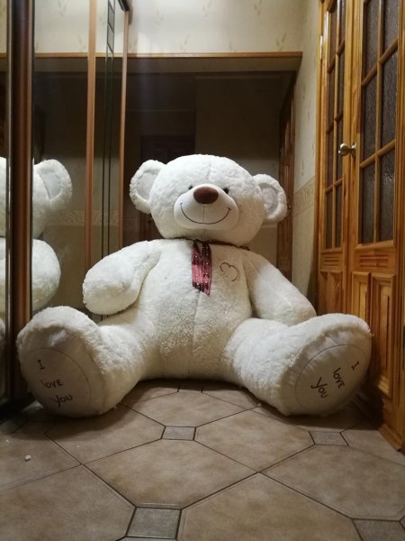 Огромный плюшевый медведь