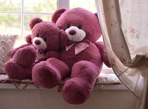 Розовый медведь