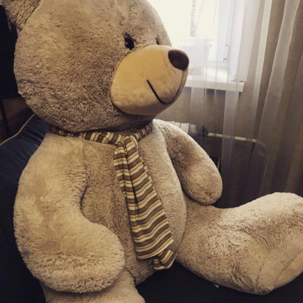 Плюшевый медведь