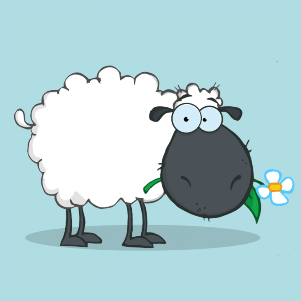 Забавная Овечка