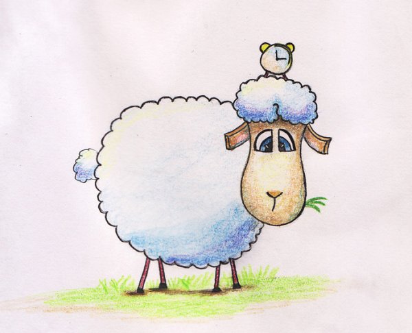 Овца рисунок для открытки