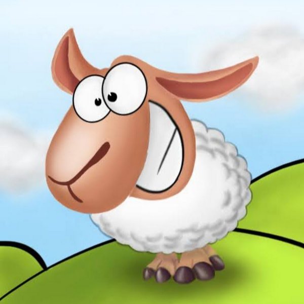Овца смешная