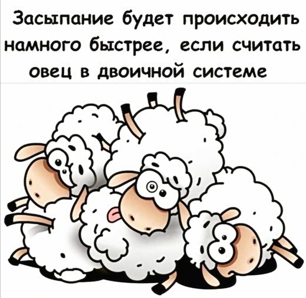 Овечки перед сном