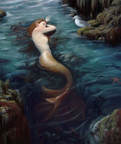 Толстая Ариэль