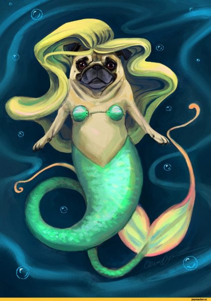 Рыба карикатура