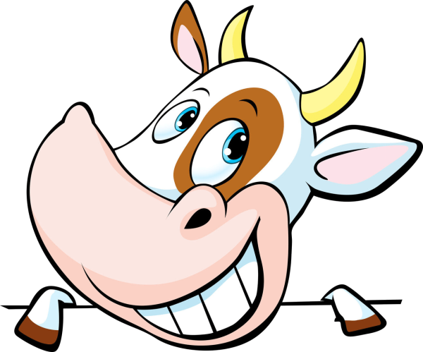 Корова выглядывает