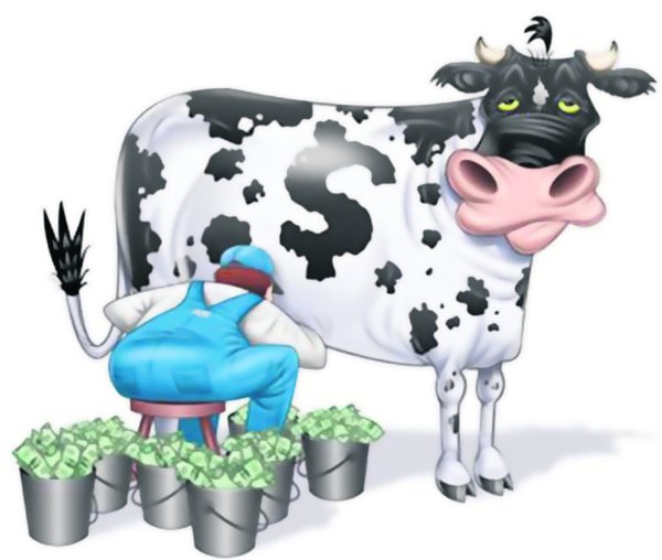 Прикольная корова