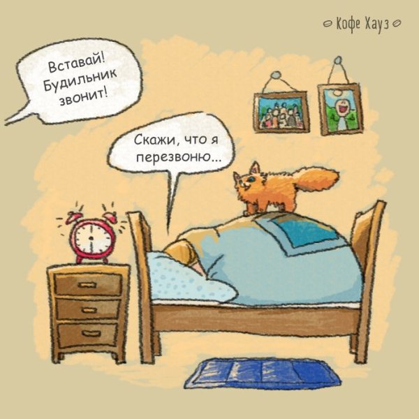 Утро прикол