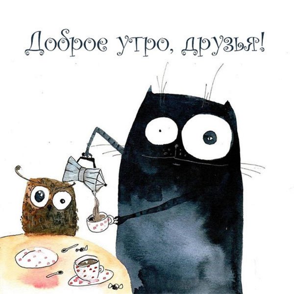 Доброе утро прикол